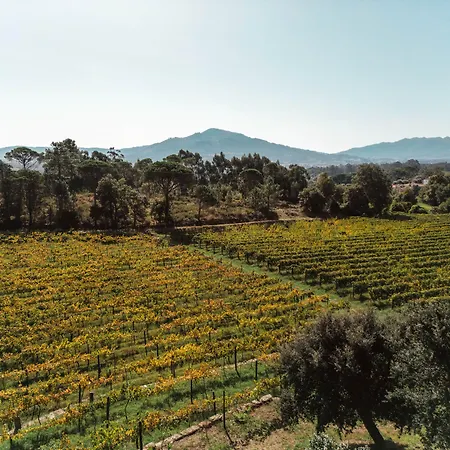 Quinta Do Convento De Val Pereiras - Turismo De Habitacao