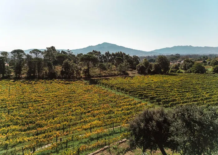 Quinta Do Convento De Val Pereiras - Turismo De Habitacao